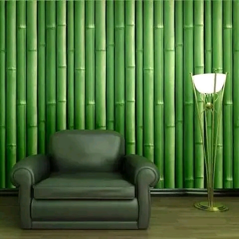 635085d78ac74474310931.jpg