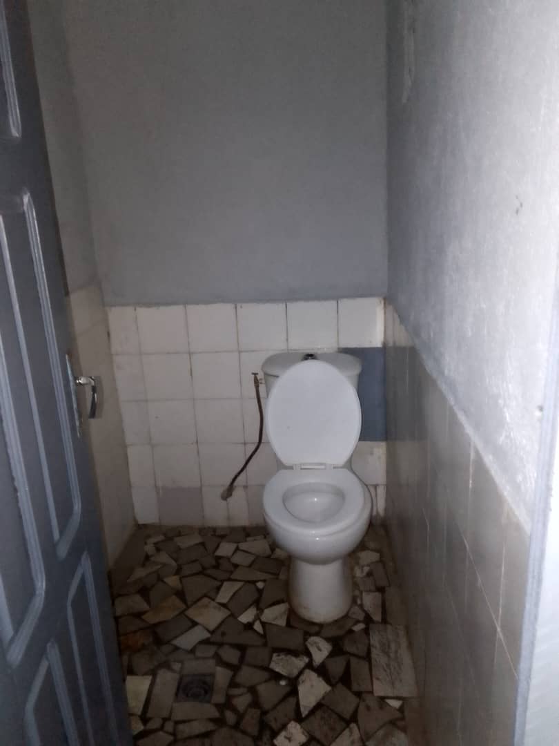 65fa295392a9d912042455.jpg