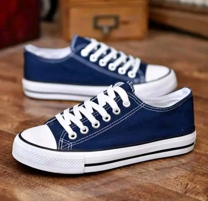 664ddecde8f11106559812.jpg