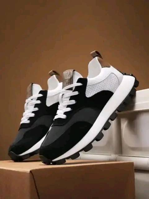 6aae6125df593220818681.jpg