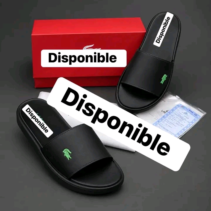 6abb90221a038865826557.jpg